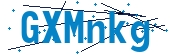 recaptcha