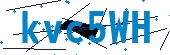 recaptcha